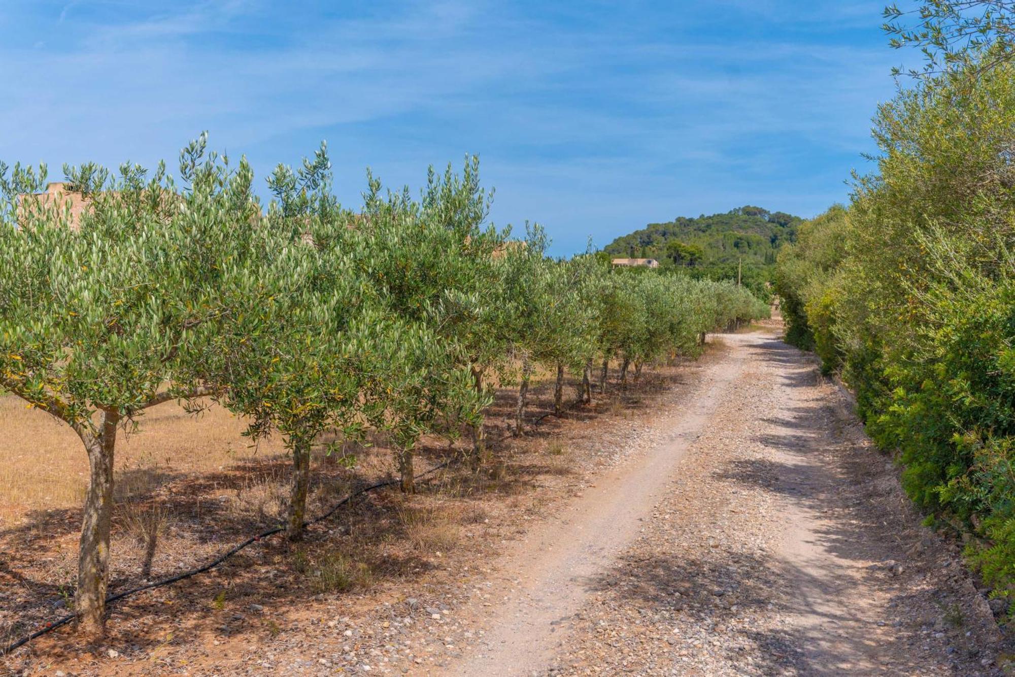 Son Floriana Villa Cala Bona  Kültér fotó